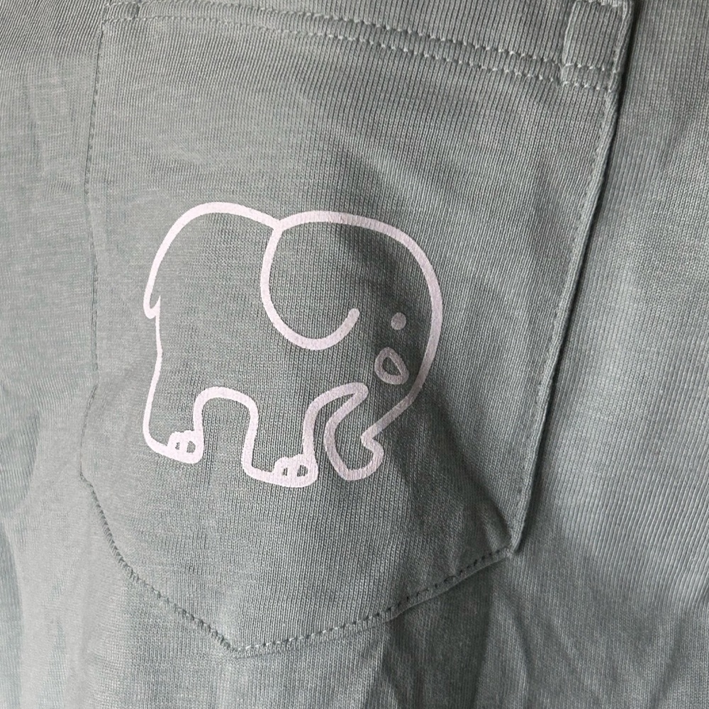 Ivory Ella 100% Organic Cotton Seafoam Green Long Sleeve Casual Tee Women Sz M - Picture 4 of 8